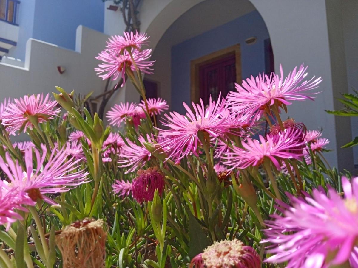 Nefeli Hotel Leros Agia Marina  Eksteriør billede